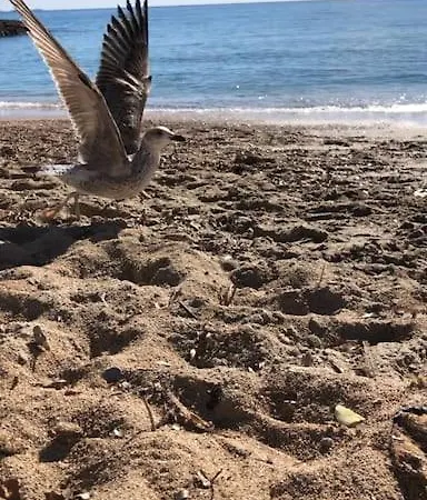 Appartement Lou Niú - Le T3 *